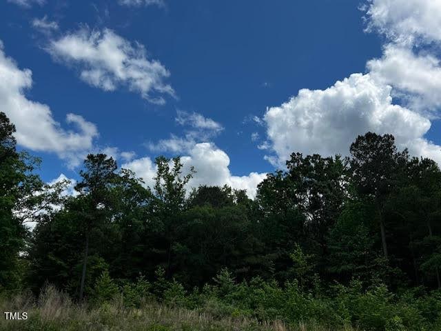 196 Cozy Brook Ct, Clayton, NC 27520 - photo 27