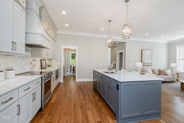 kitchen featuring plenty of natural light, appliances with stainless steel finishes, a sink, open floor plan, and custom range hood