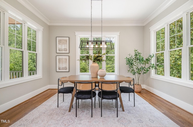 dining area featuring a healthy amount of sunlight, baseboards, ornamental molding, and wood finished floors