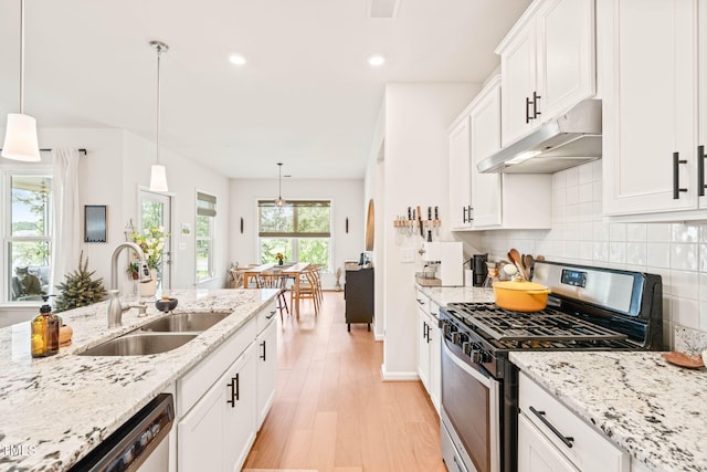 2404 Azalea Dr, Durham, NC 27703 - kitchen featuring stainless steel appliances, under cabinet range hood, a sink, light wood-type flooring, and backsplash