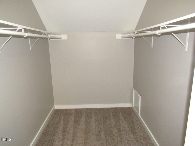 walk in closet featuring carpet flooring and vaulted ceiling