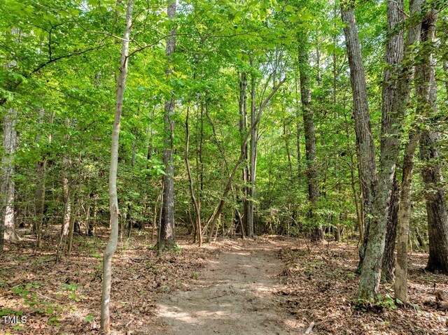 1.95ACRES Buchanan Rd, Manson, NC 27553