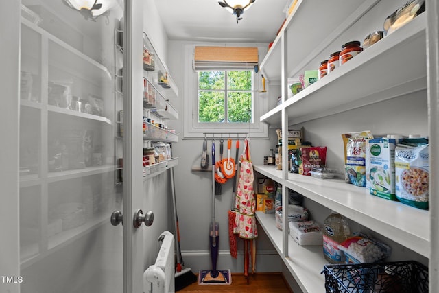 view of pantry