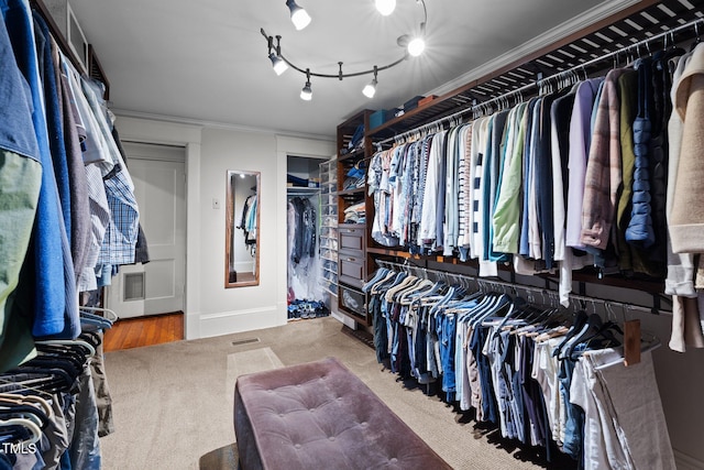 walk in closet featuring carpet and visible vents