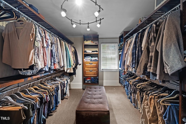 spacious closet featuring carpet flooring