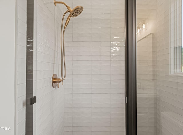 room details with a shower stall
