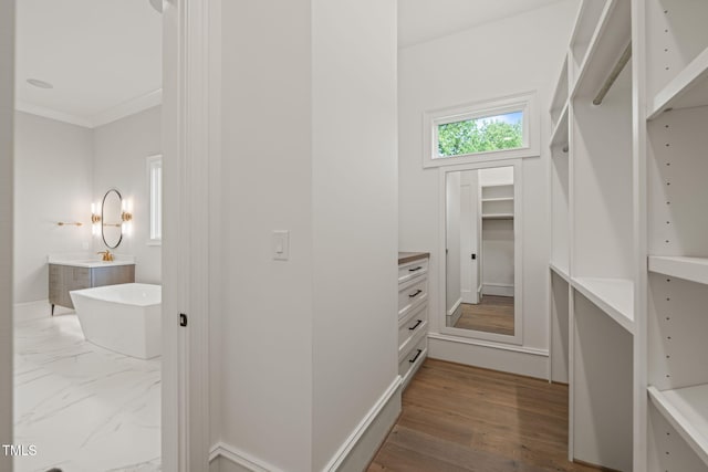 spacious closet with a sink and wood finished floors
