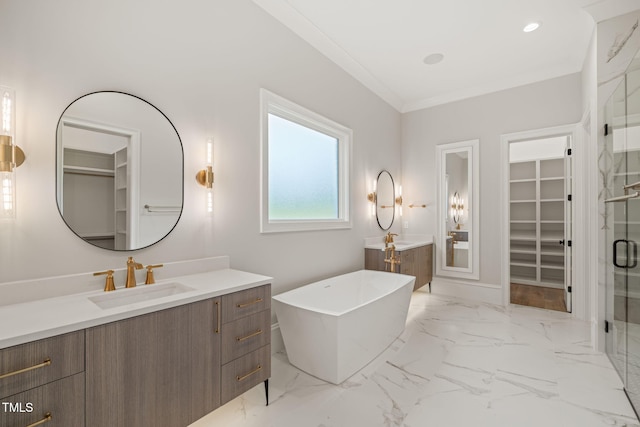 full bathroom featuring a sink, a freestanding tub, a shower stall, two vanities, and a spacious closet