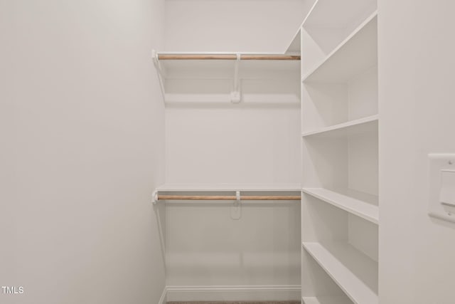 view of walk in closet