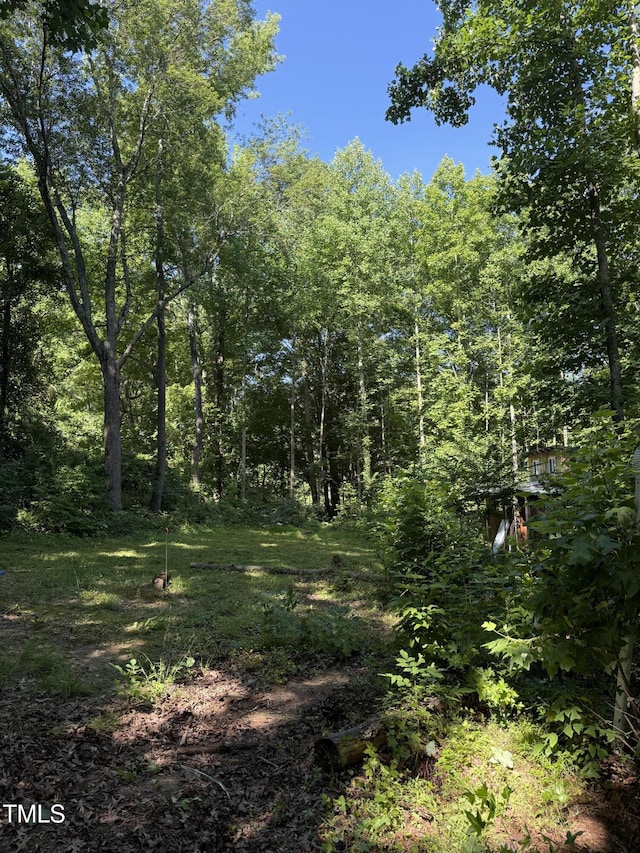 190 Louise Jenkins Rd, Moncure, NC 27559
