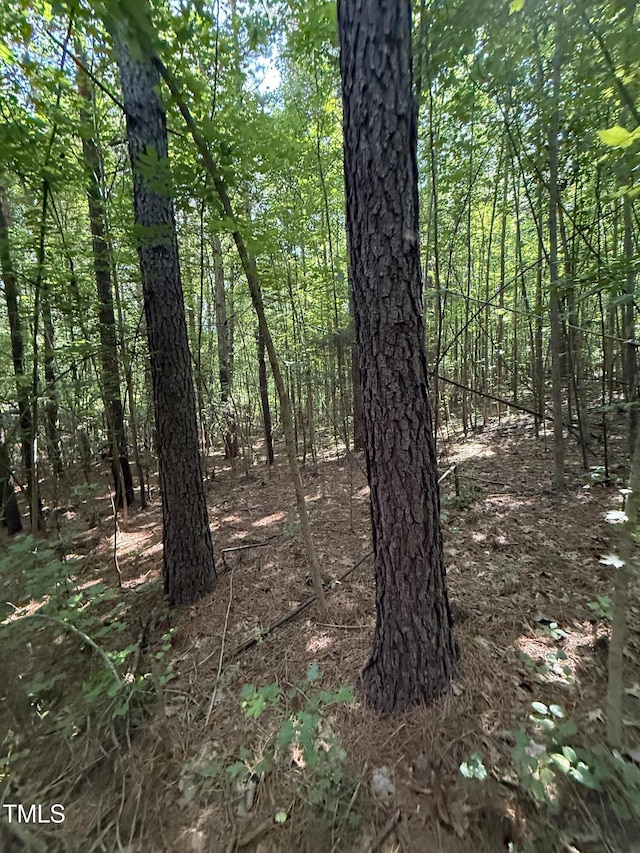 190 Louise Jenkins Rd, Moncure, NC 27559