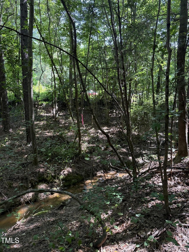 190 Louise Jenkins Rd, Moncure, NC 27559