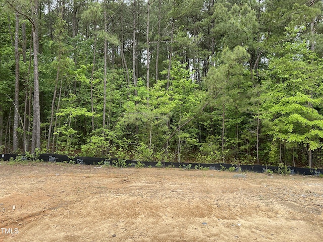 169 Pecan Valley Way, Four Oaks, NC 27524 - view of wooded area