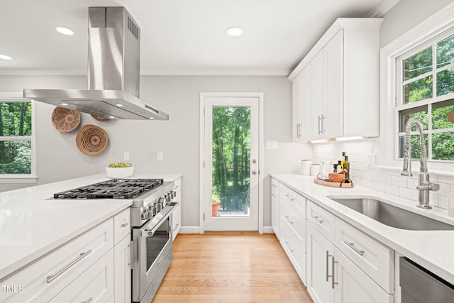 3420 Sheridan Dr, Durham, NC 27707 - kitchen with island range hood, appliances with stainless steel finishes, a sink, ornamental molding, and plenty of natural light