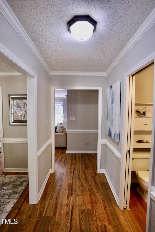 3832 Doeskin Dr, Apex, NC 27539 - hall with wood finished floors, a textured ceiling, and ornamental molding
