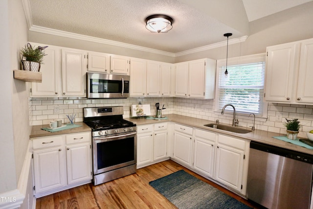 3832 Doeskin Dr, Apex, NC 27539 - kitchen featuring appliances with stainless steel finishes, a sink, white cabinetry, light countertops, and backsplash