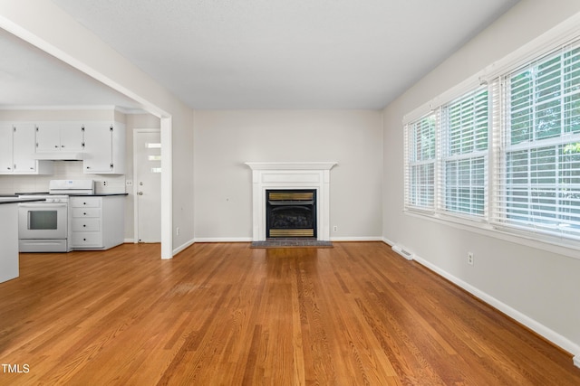 2917 Trail Six, Burlington, NC 27215 - unfurnished living room featuring light wood-type flooring, a fireplace with raised hearth, and baseboards
