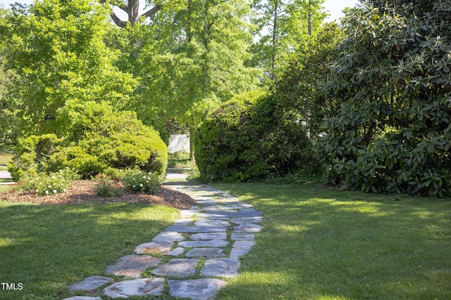 19 Oak Dr, Durham, NC 27707 - view of yard