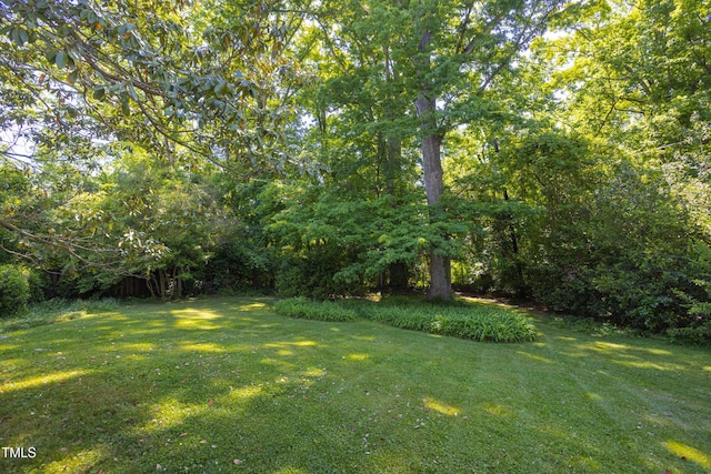 19 Oak Dr, Durham, NC 27707 - view of yard