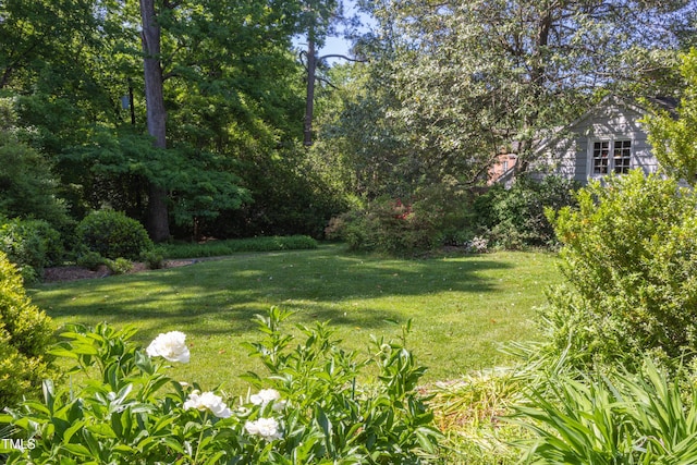 19 Oak Dr, Durham, NC 27707 - view of yard