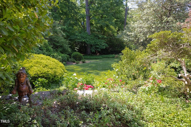 19 Oak Dr, Durham, NC 27707 - view of yard