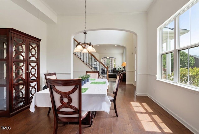 dining area featuring an inviting chandelier, ornamental molding, baseboards, dark wood-type flooring, and arched walkways