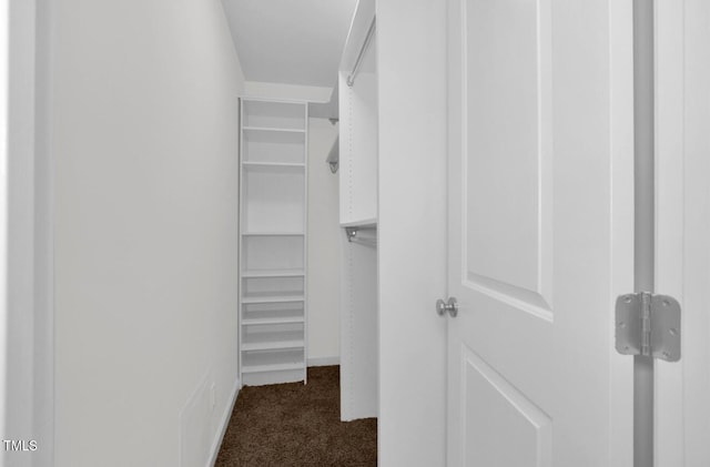 spacious closet with dark carpet
