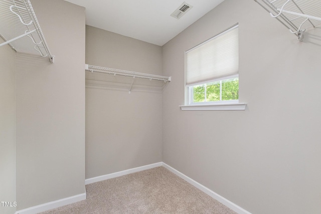 walk in closet with visible vents and carpet flooring
