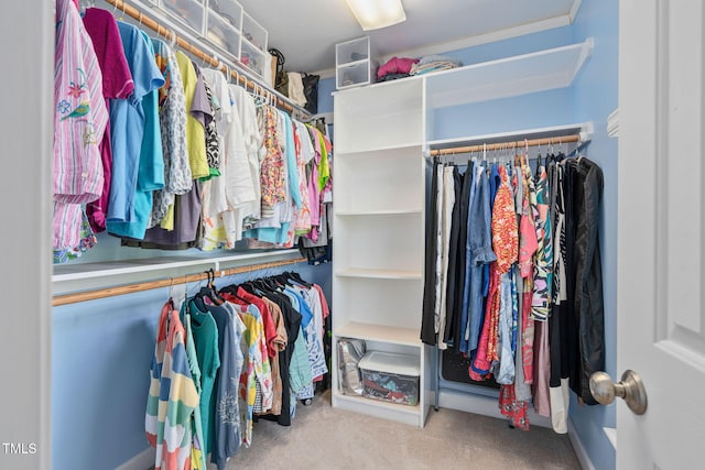 210 Presidents Walk Ln, Cary, NC 27519 - walk in closet with carpet