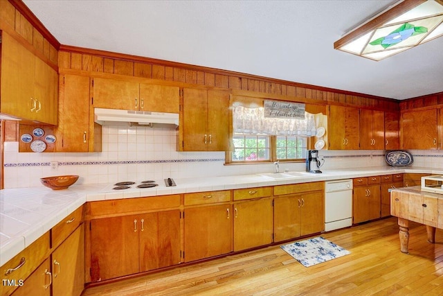 206 Kittys Ln, Erwin, NC 28339 - kitchen with backsplash, a sink, light wood-style floors, under cabinet range hood, and white appliances