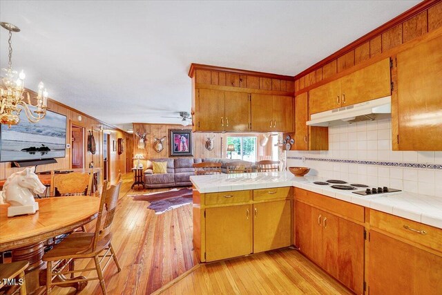 206 Kittys Ln, Erwin, NC 28339 - kitchen with a notable chandelier, open floor plan, light wood-type flooring, tasteful backsplash, and under cabinet range hood