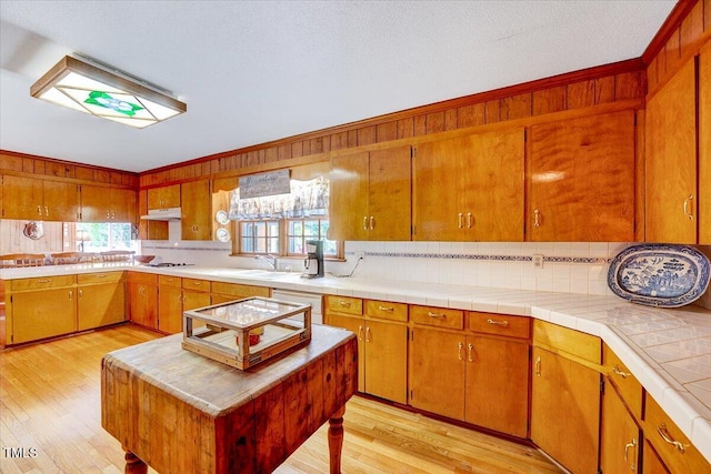 206 Kittys Ln, Erwin, NC 28339 - kitchen with light countertops, light wood-style flooring, backsplash, and a healthy amount of sunlight