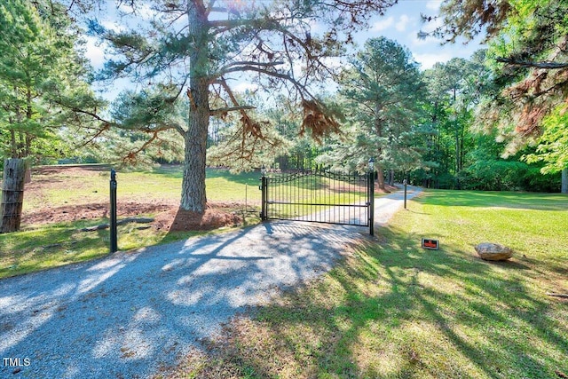 206 Kittys Ln, Erwin, NC 28339 - view of gate featuring a lawn