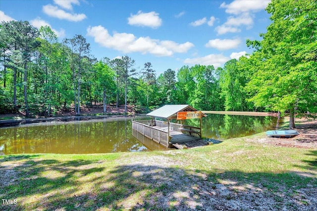 206 Kittys Ln, Erwin, NC 28339 - view of dock with a water view and a view of trees