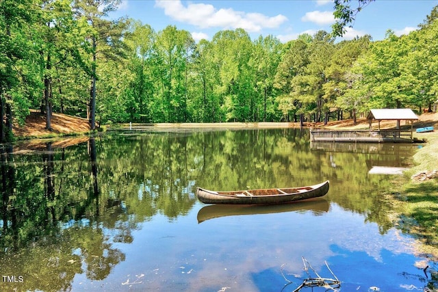 206 Kittys Ln, Erwin, NC 28339 - dock area with a water view and a view of trees