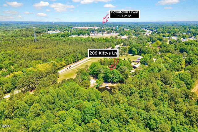 206 Kittys Ln, Erwin, NC 28339 - drone / aerial view with a view of trees