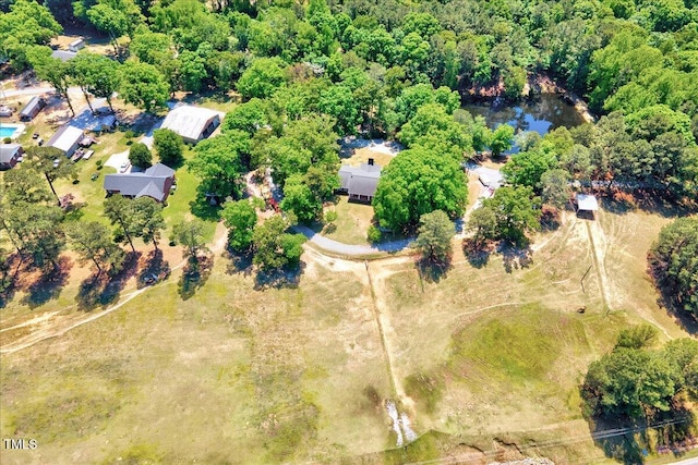 206 Kittys Ln, Erwin, NC 28339 - drone / aerial view