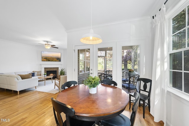 20 Paddy Ln, Youngsville, NC 27596 - dining area featuring a warm lit fireplace, ceiling fan, ornamental molding, light wood-style floors, and french doors