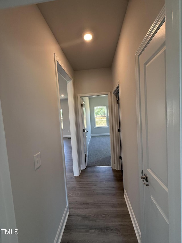5084 Holly Hill Ct Lot 25, Battleboro, NC 27809 - hallway with baseboards and dark wood-style flooring