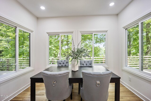 dining room with a healthy amount of sunlight, baseboards, and wood finished floors