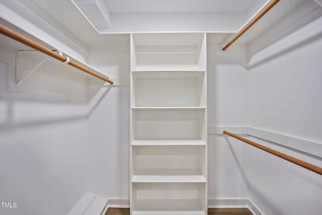 walk in closet featuring wood finished floors
