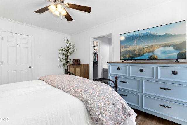 bedroom with a walk in closet, ceiling fan, dark wood finished floors, a closet, and ornamental molding