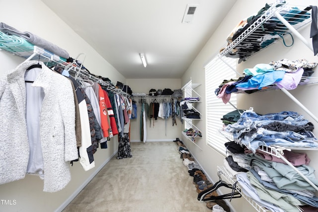 spacious closet featuring carpet floors and visible vents