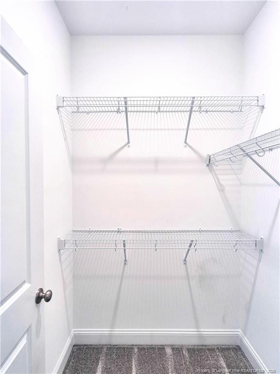 walk in closet with carpet floors