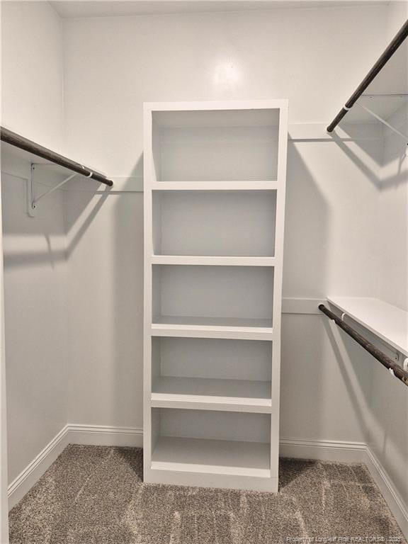 walk in closet with carpet flooring