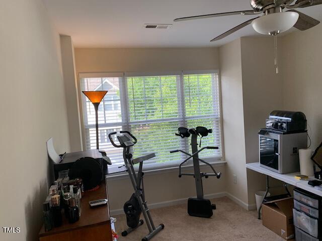 exercise area featuring carpet floors, plenty of natural light, and visible vents