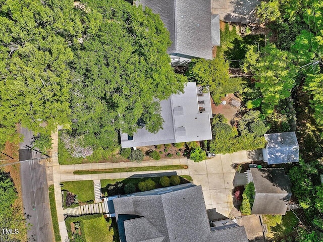 bird's eye view