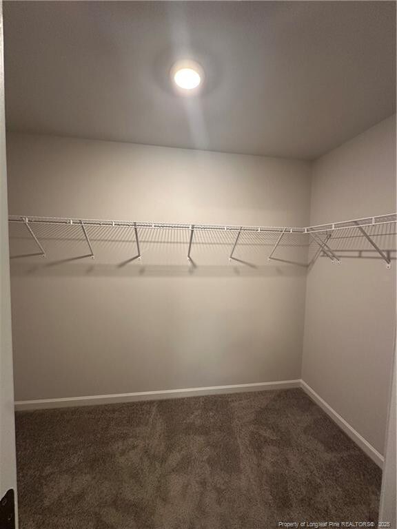 331 Brentmoor Dr, Raeford, NC 28376 - spacious closet with carpet flooring