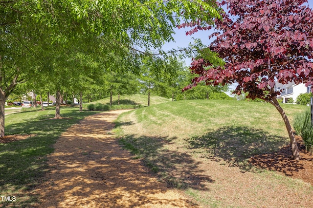 exterior space featuring a yard