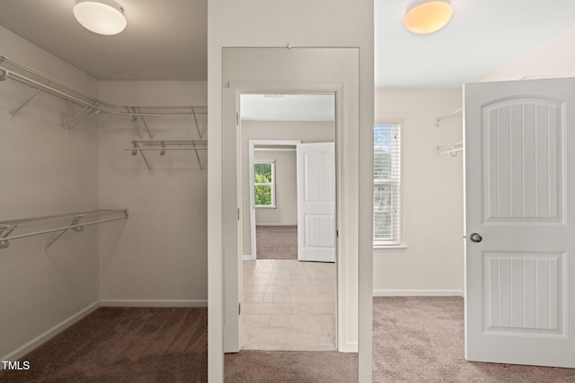 5011 Peachtree Town Ln, Knightdale, NC 27545 - spacious closet with carpet
